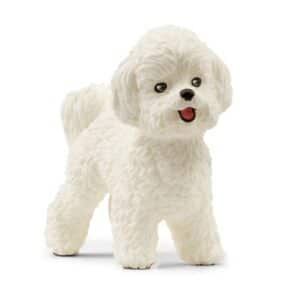 schleich® Bichon Frisé 13963